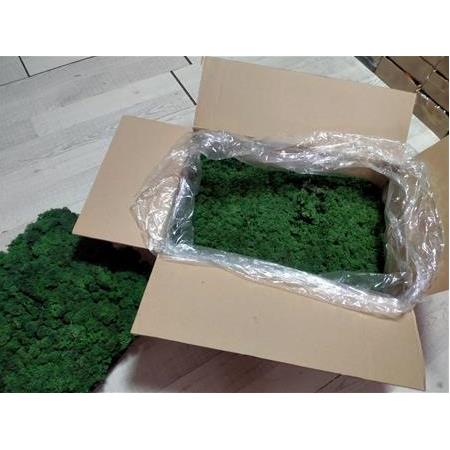 Reindeer moss dark green şoklanmış norveç yosunu 4 kg