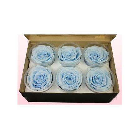 Rose Amor BLU-89 MAVİ  şoklanmış solmaz gül XL 1 KUTU (6 ADET GÜL)