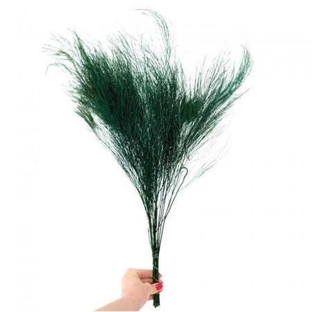 Şoklanmış Korunmuş Ticky Fern