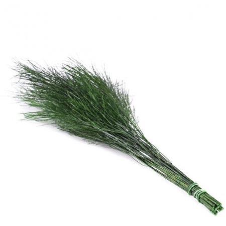 Şoklanmış Korunmuş Ticky Fern