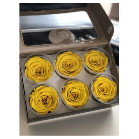 Rose Amor SARI şoklanmış solmaz gül XL 6 lı paket