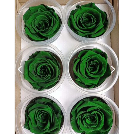 Rose Amor KOYU YEŞİL şoklanmış solmaz gül XL 6 lı paket