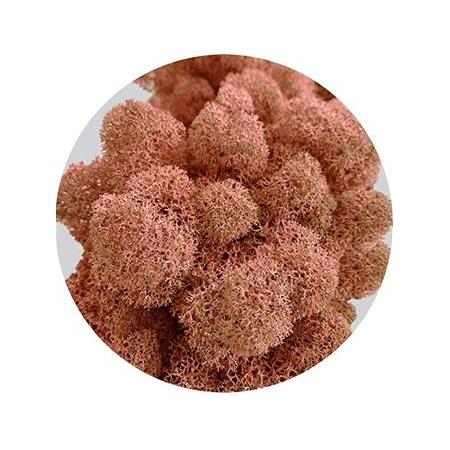 Reindeer moss MANGO şoklanmış norveç yosunu