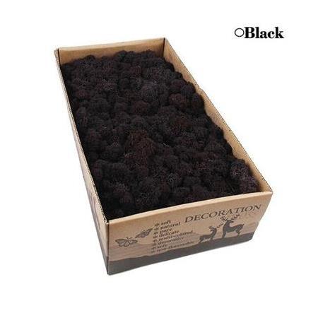 Reindeer moss BLACK(SİYAH) şoklanmış norveç yosunu